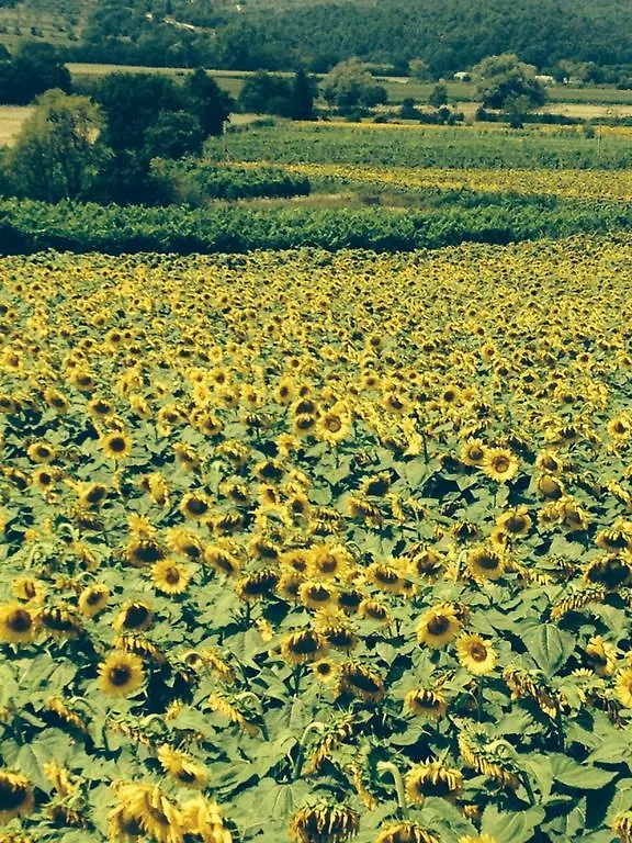 Tre Girasoli Monte San Savino